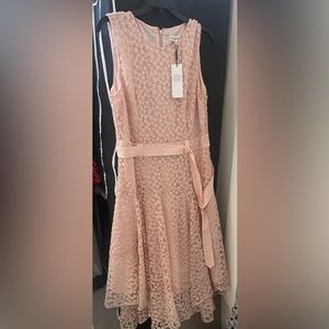 Calvin Klein Pink Lace Midi Dress